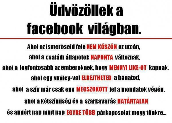 10796_478807942189842_238215347_n