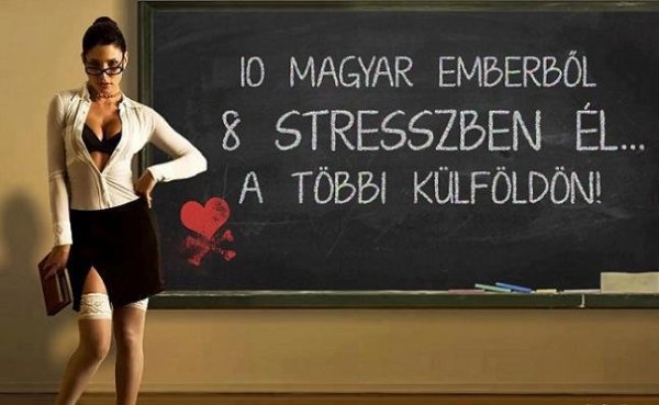 24629_487033231367313_1580982469_n